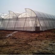 Dome Type Shade Net House (Gothic Arch)